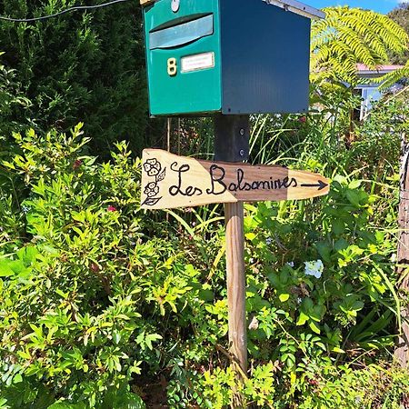 Les Balsamines Chez Michele & Daniel Leilighet La Plaine des Palmistes Eksteriør bilde
